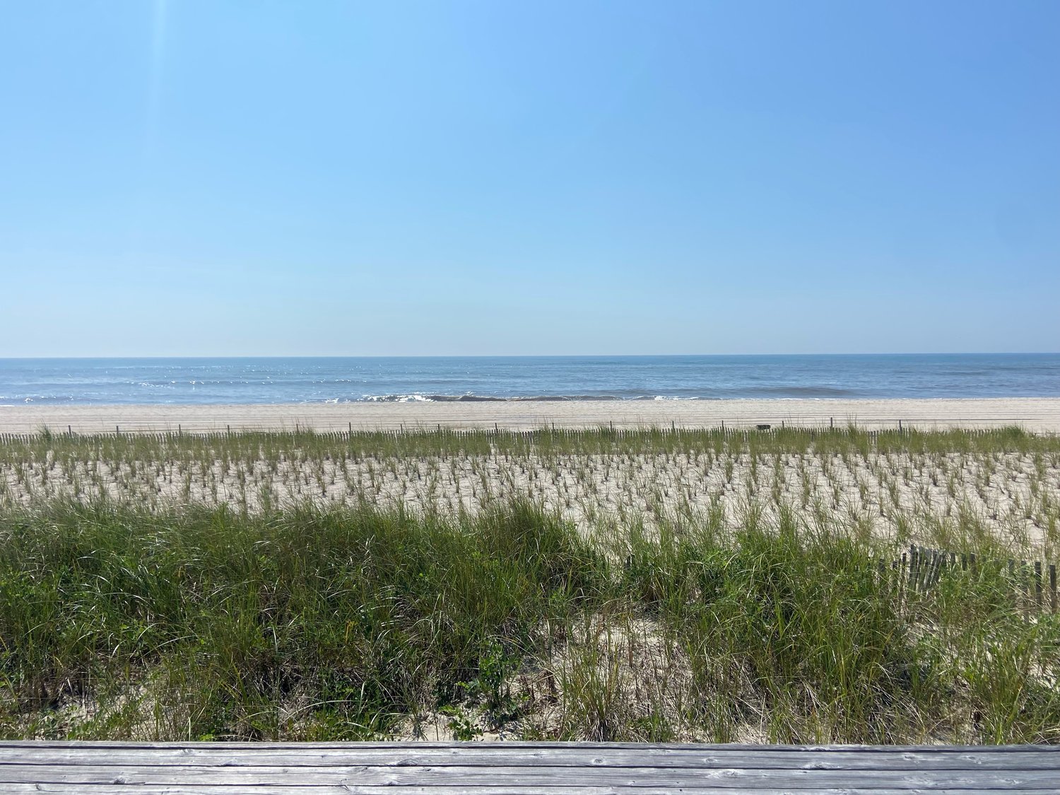 The beach at the Fire Island Pines, where bunker fish and feeding sharks have been spotted.