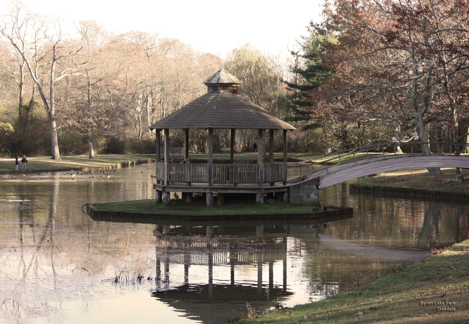 Byron Lake, a treasure for the Oakdale community, will likely see renovations to its pool, but residents are asking for relief with the pond’s issues.